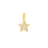 Maisonette Star Pendant