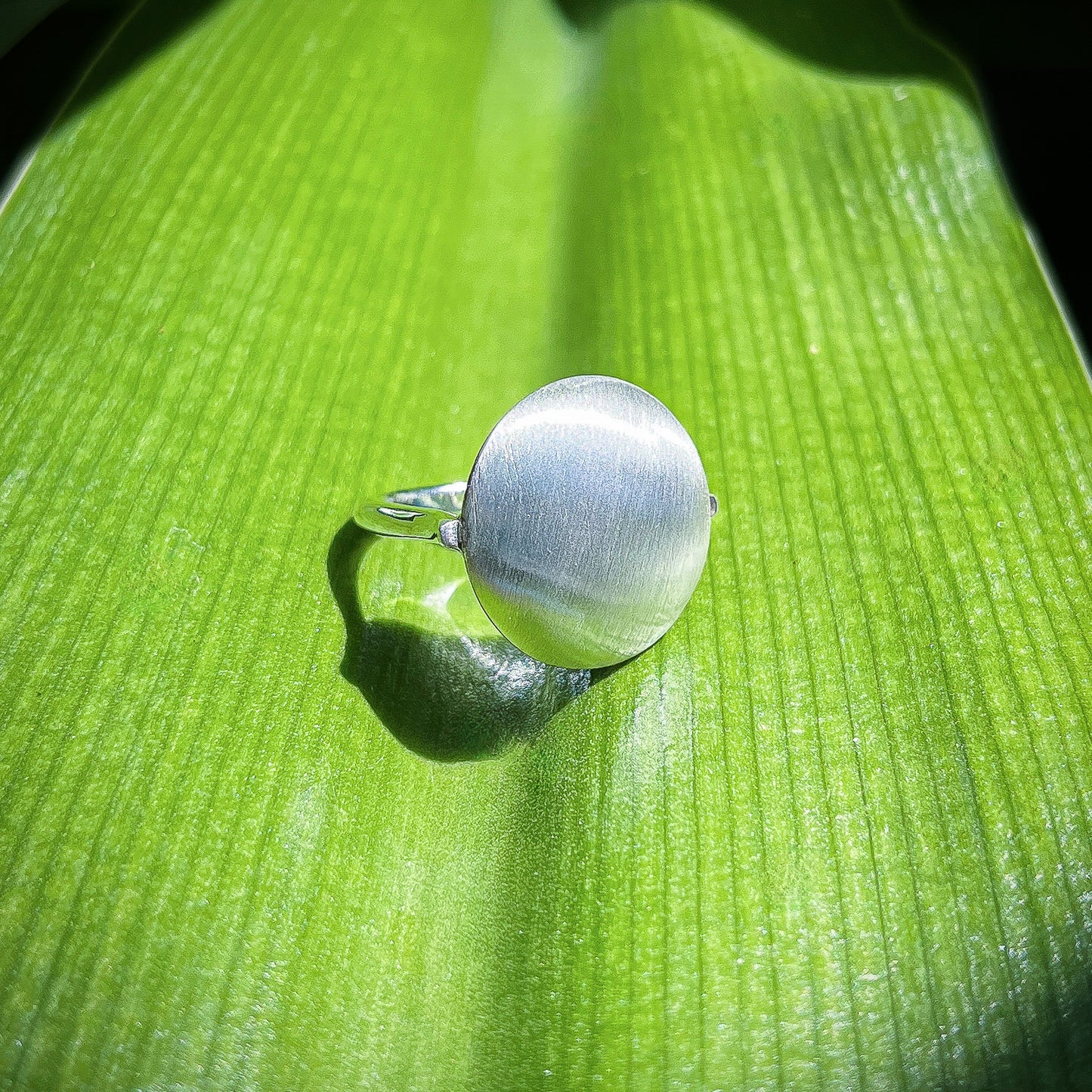 Brushed Sands Earrings