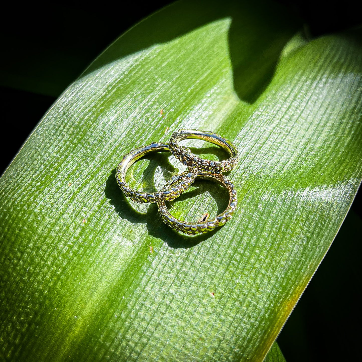 Posie Chain Gold Ring